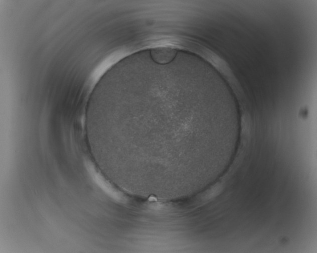 X0000114661234200910201523