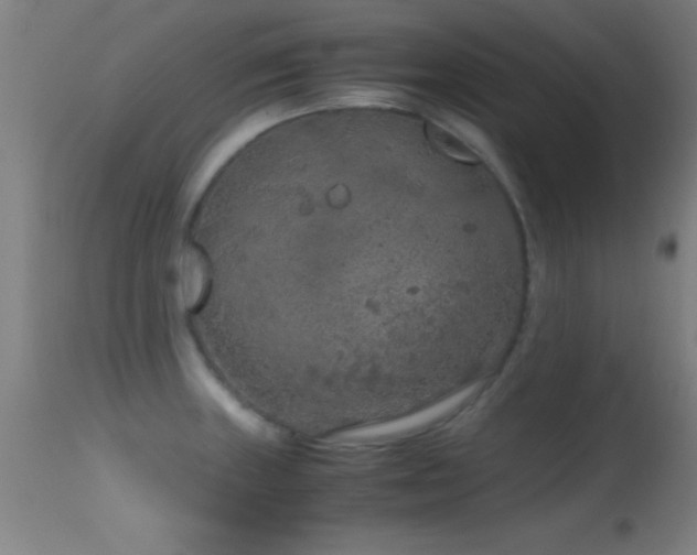 X0000114661235200910201523