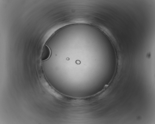 X0000114661236200910201523