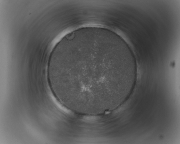 X0000114661237200910201523