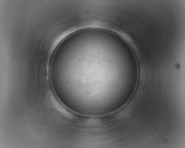 X0000114661238200910201523