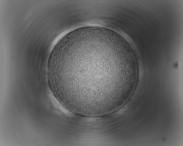 X0000114661240200910201523