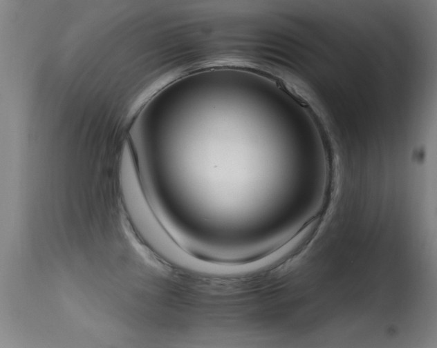 X0000114661241200910201523