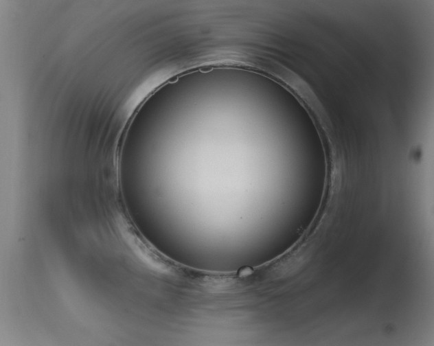 X0000114661242200910201523