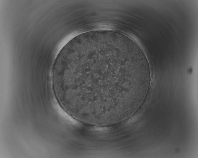 X0000114661243200910201523