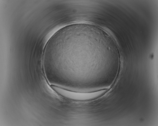 X0000114661244200910201523