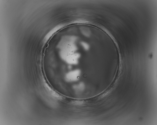 X0000114661245200910201523