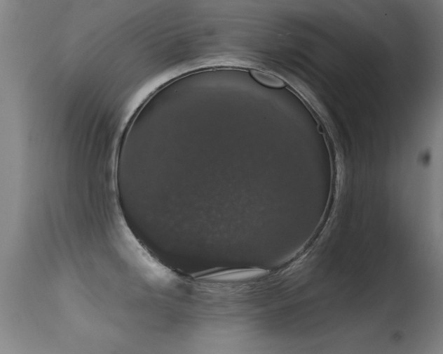 X0000114661246200910201523