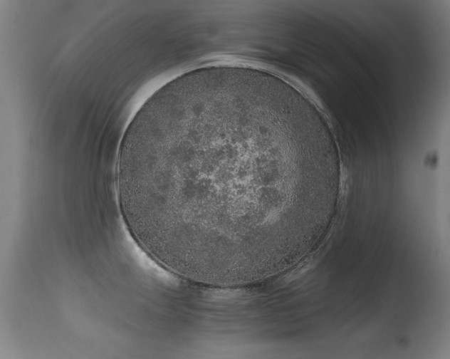 X0000114661247200910201524