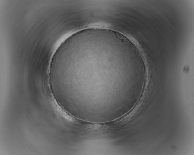 X0000114661248200910201524