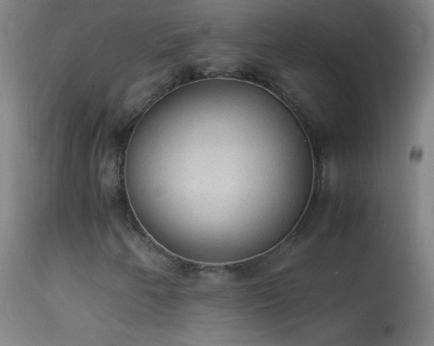 X0000114661250200910201523