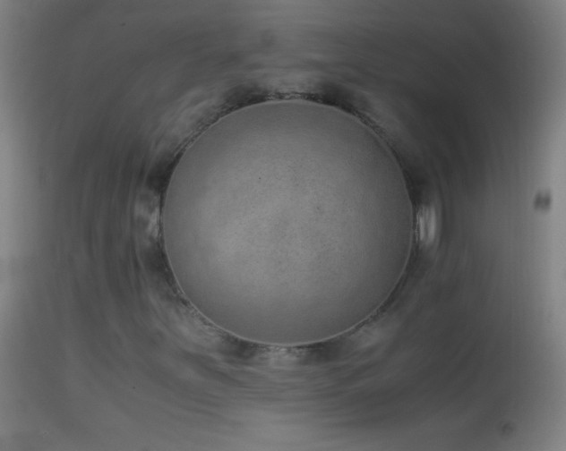 X0000114661251200910201523