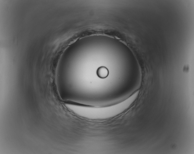 X0000114661253200910201523