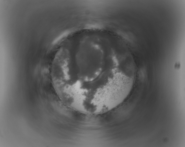 X0000114661254200910201523