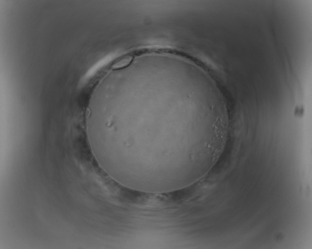 X0000114661255200910201523