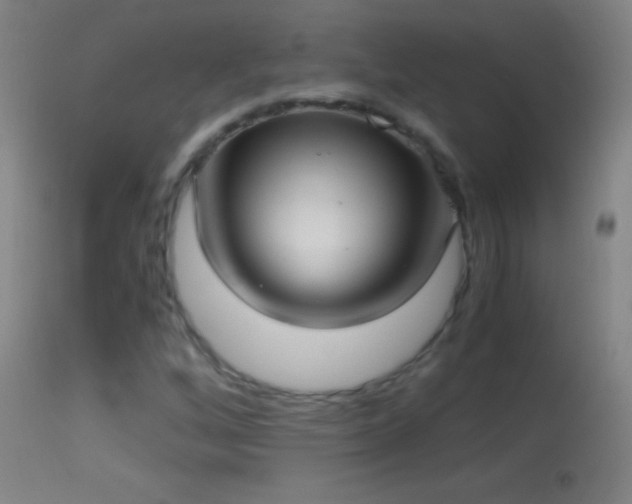 X0000114661256200910201523