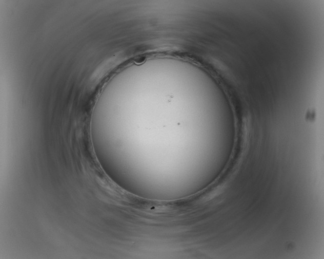 X0000114661257200910201523