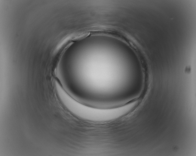 X0000114661259200910201523