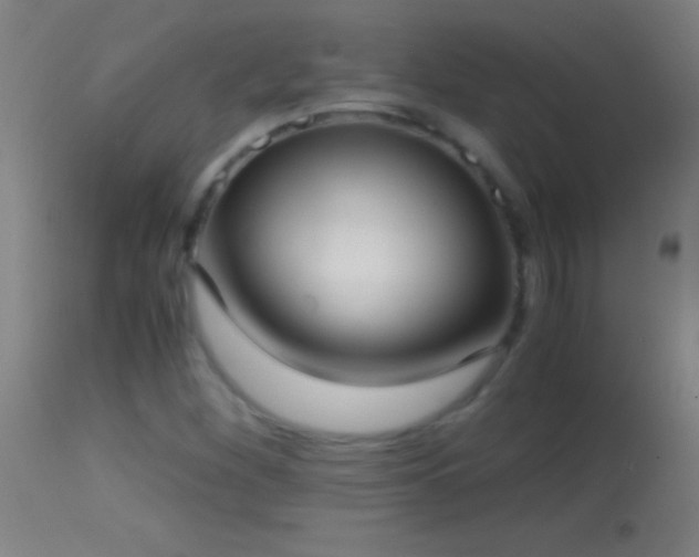 X0000114661260200910201523