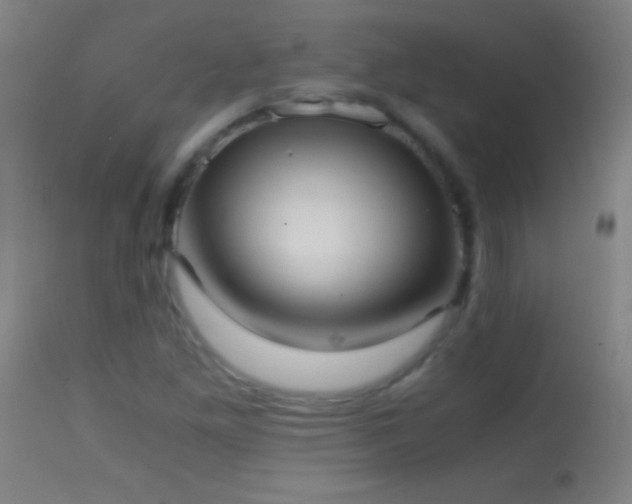 X0000114661261200910201523