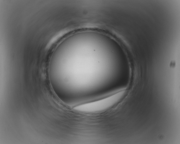 X0000114661262200910201523