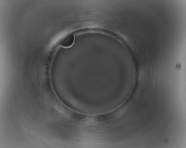 X0000114661263200910201523