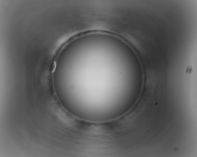 X0000114661264200910201523