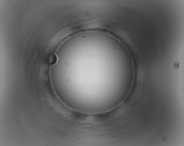 X0000114661265200910201523