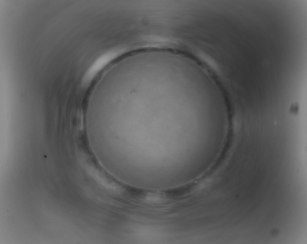 X0000114661267200910201523