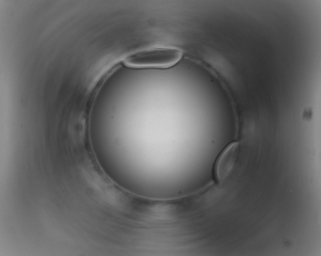 X0000114661268200910201523