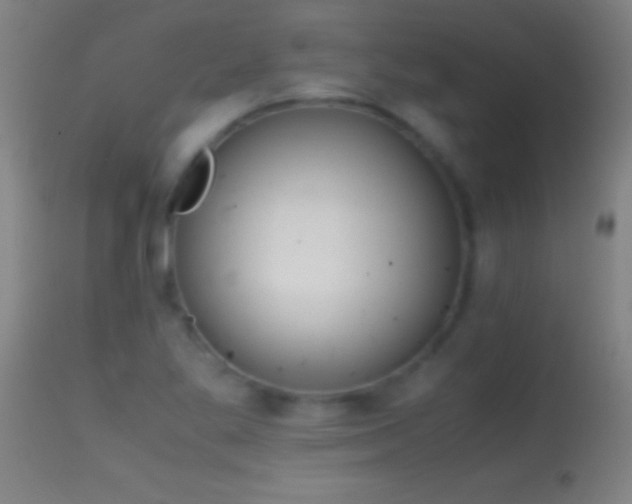 X0000114661269200910201523