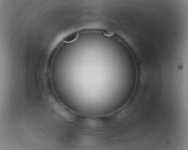 X0000114661270200910201523