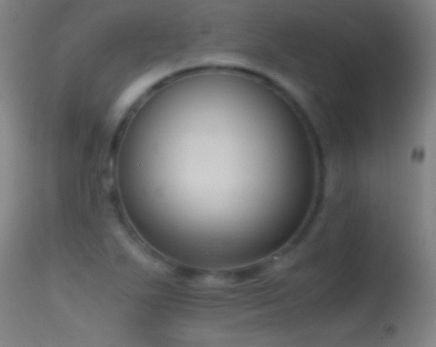 X0000114661271200910201523