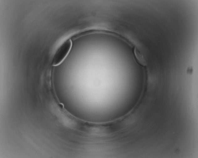 X0000114661272200910201523