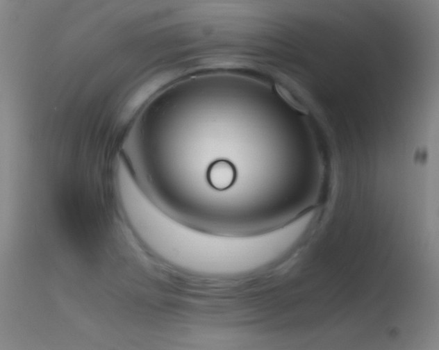 X0000114661273200910201523