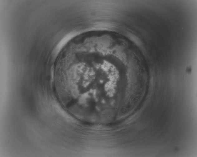 X0000114661275200910201522