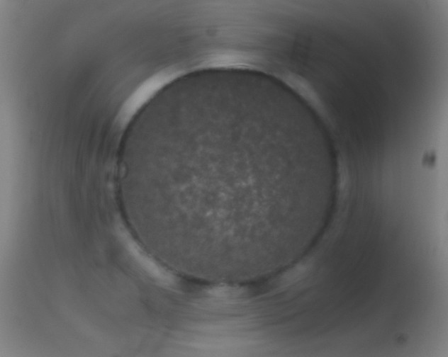 X0000114661277200910201522