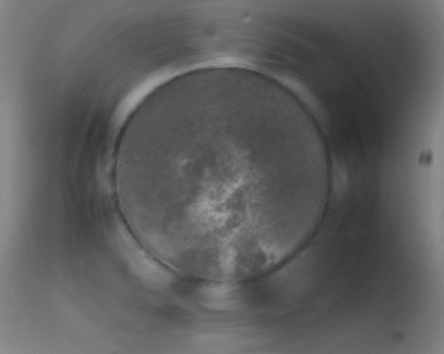 X0000114661278200910201522