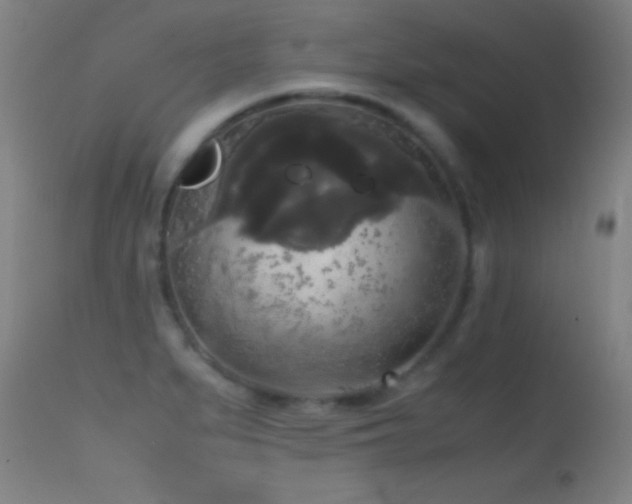 X0000114661279200910201522