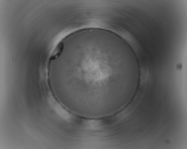 X0000114661280200910201522