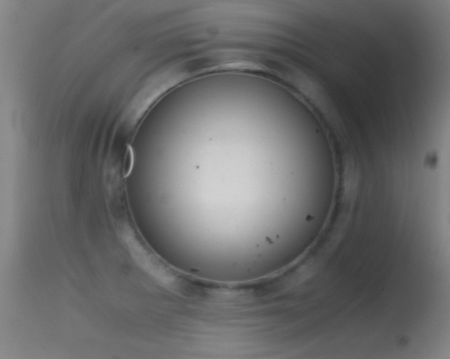 X0000114661281200910201522