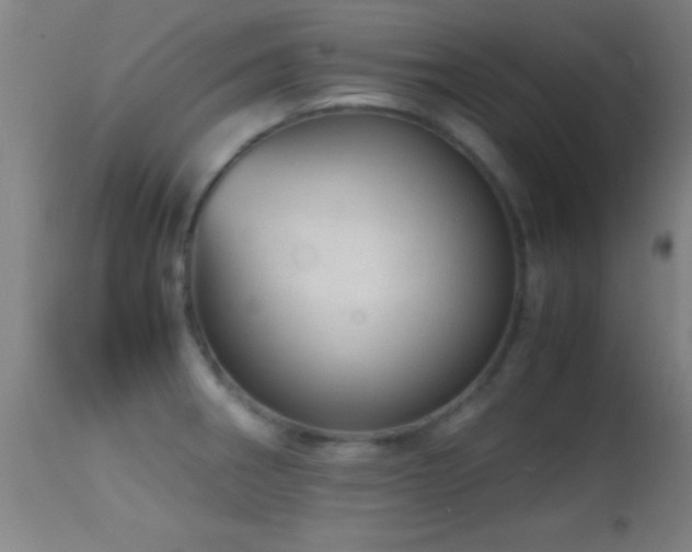 X0000114661282200910201522