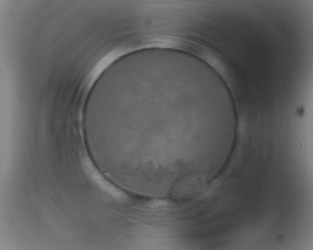 X0000114661283200910201522