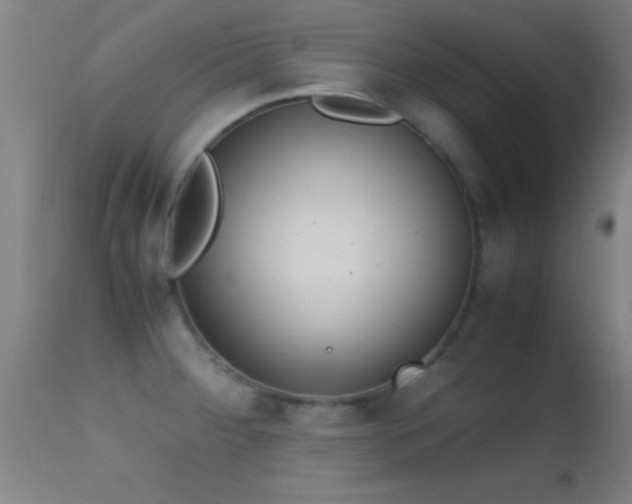 X0000114661284200910201522