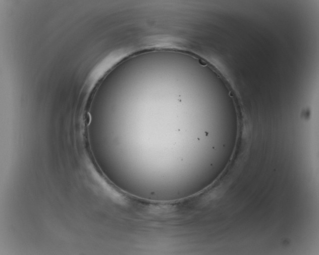 X0000114661285200910201522