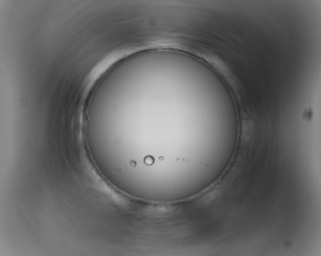 X0000114661286200910201522