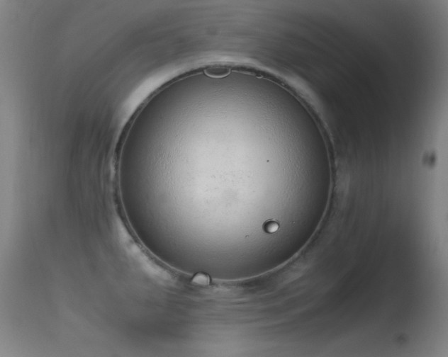 X0000114661287200910201522