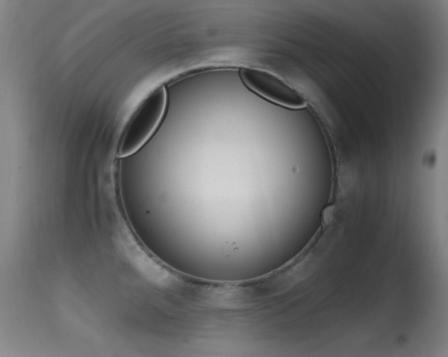 X0000114661288200910201522