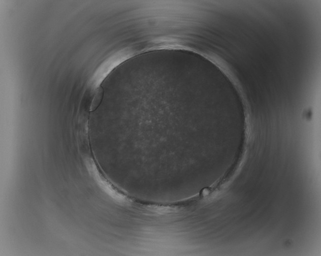 X0000114661289200910201522