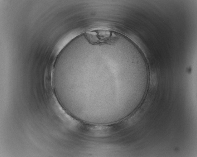 X0000114661290200910201522